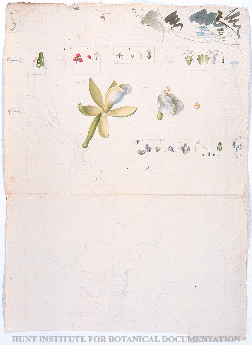 Torner Number 1857