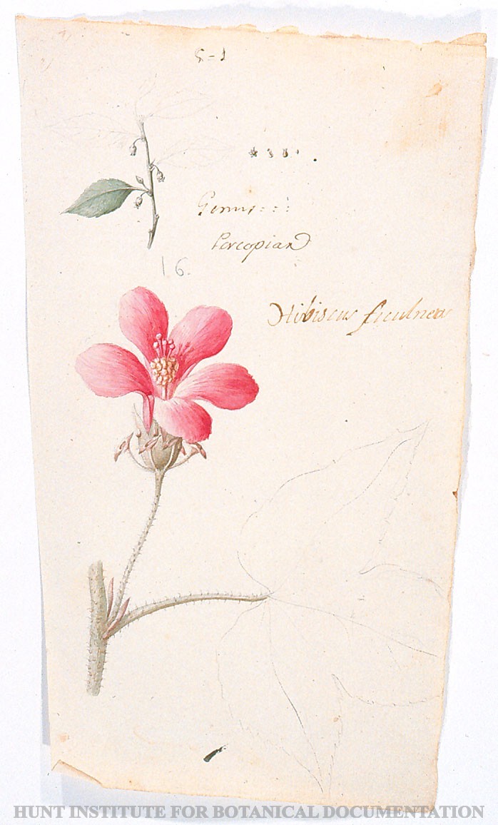 Torner Number 1879