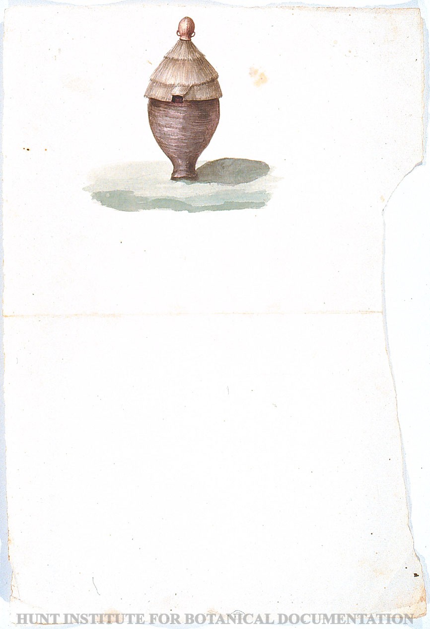 Torner Number 1896