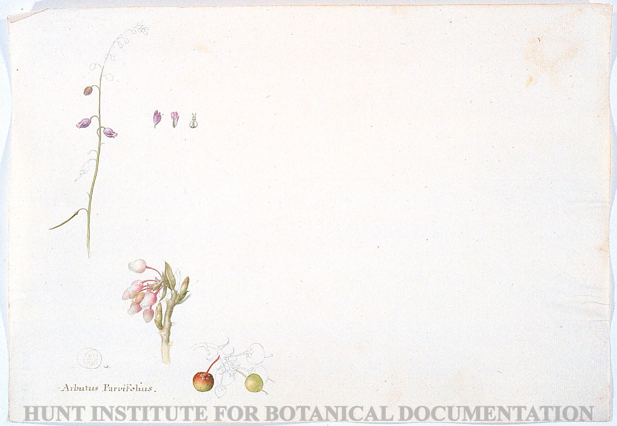 Torner Number 1936