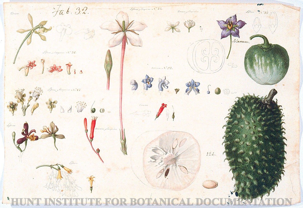 Torner Number 1998