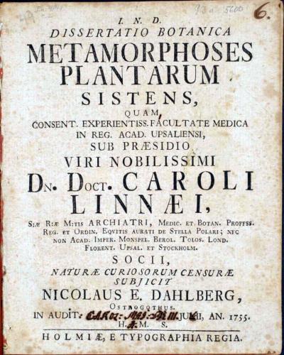 Liden no. 67 cover